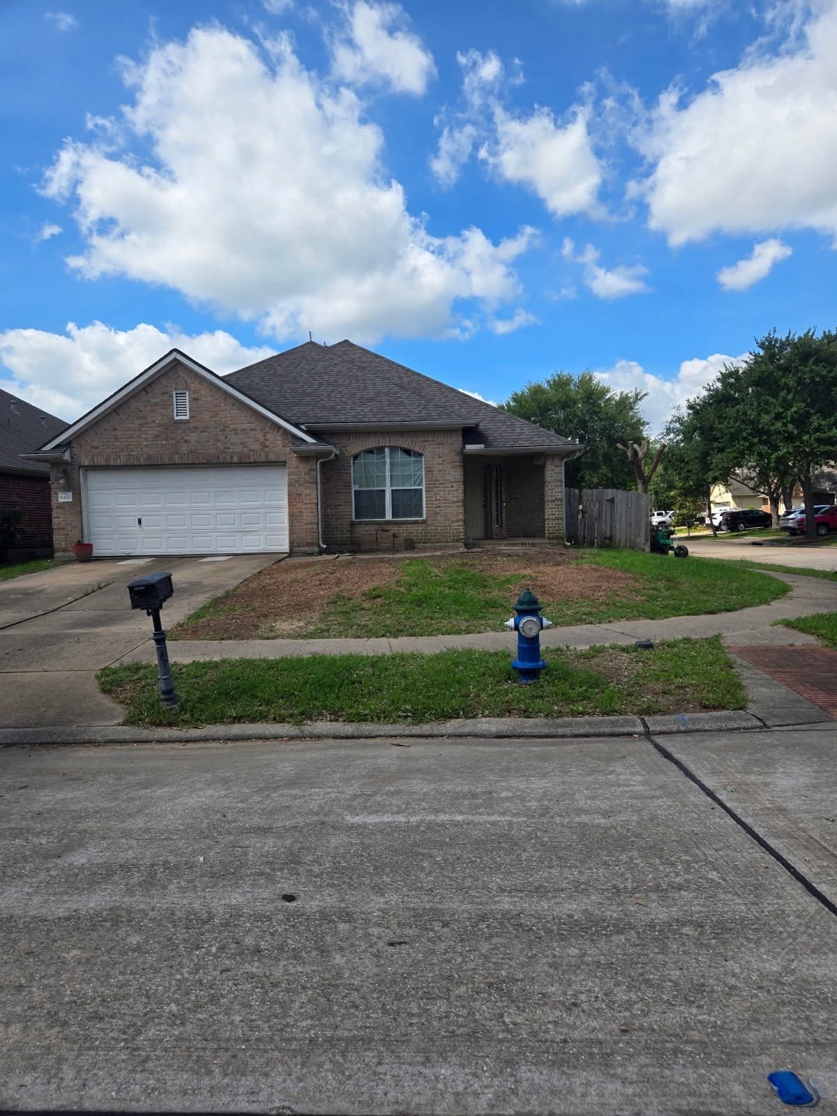 Residential tree before scheduled tree work