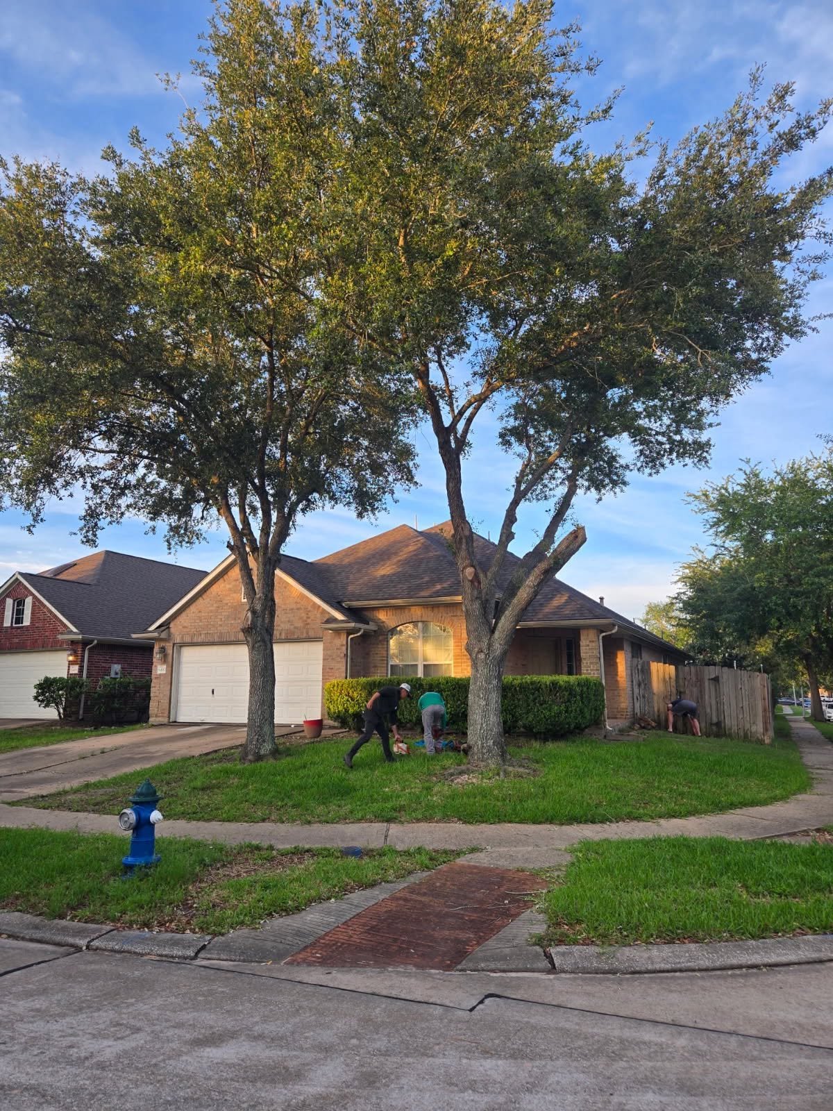 All Points Tree Service crew trimming a residential tree